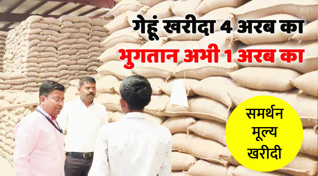 गेहूं उपार्जन