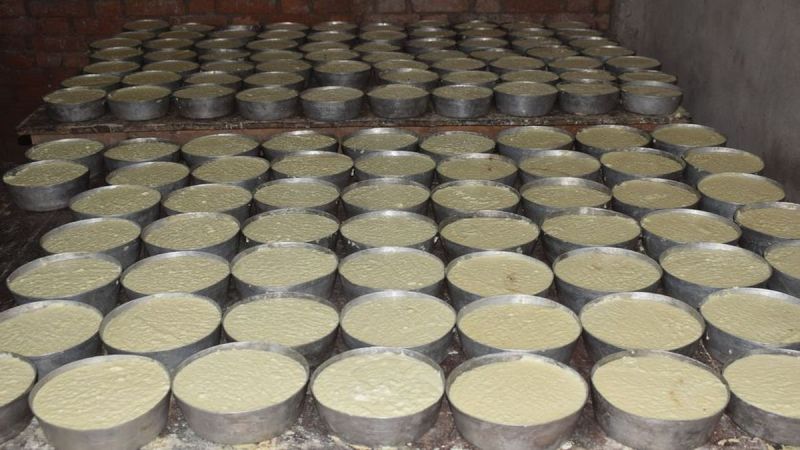 800 किलोग्राम पनीर और 1 हजार किलोग्राम मिल्क पाउडर कराया नष्ट 800 kg cheese and 1 thousand kg milk powder destroyed