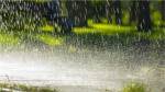 Aaj Ka Mausam: यूपी के कई जिलों में आंधी-तूफान के साथ अगले दो दिन झमाझम बारिश,
IMD ने जारी किया Yellow Alert  - image