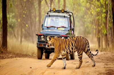 Tourism