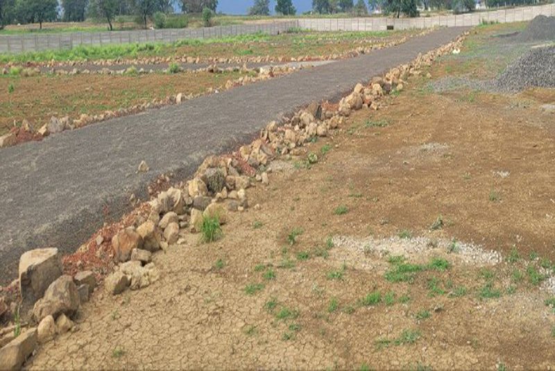 कालोनाइजर ने बनाए प्लाट।