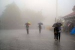 UP Rains: गोंडा से नोएडा तक मानसून के छाए बादल, इन जिलों में 72 घंटे नॉनस्टॉप
बारिश IMD letest alert - image