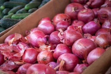 Onion prices