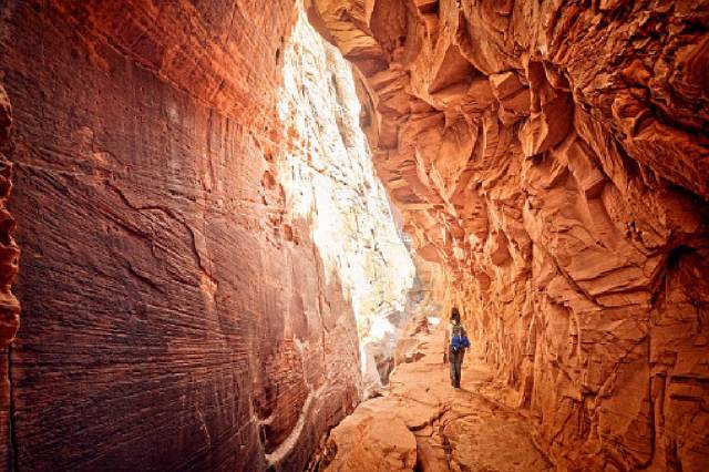 places to visit in bhopal Bhimbetka Rock Shelters Madhya Pradesh history 