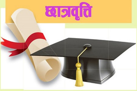 Vidyadhan Scholarship