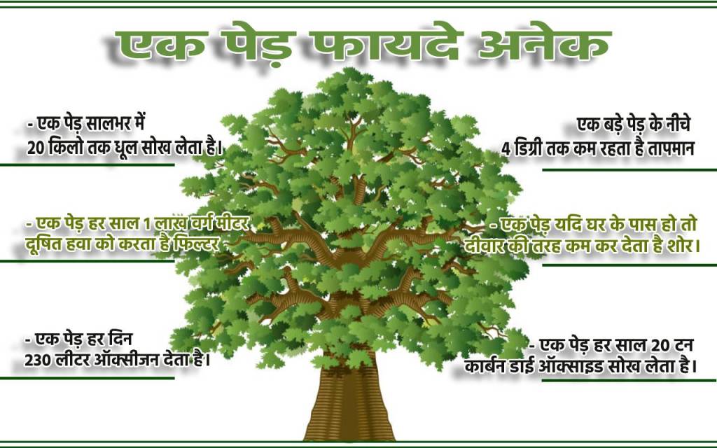 A Tree benefits