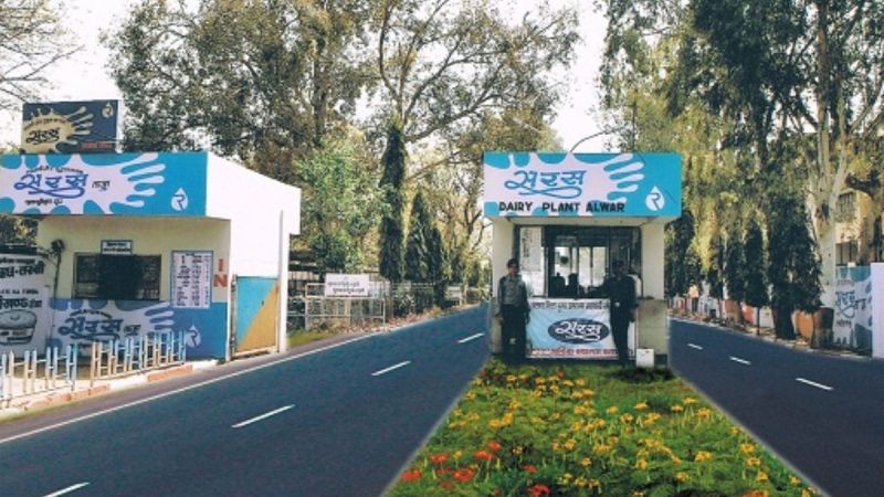 A chip was installed in the fork in dairy plant of Alwar, Rajasthan