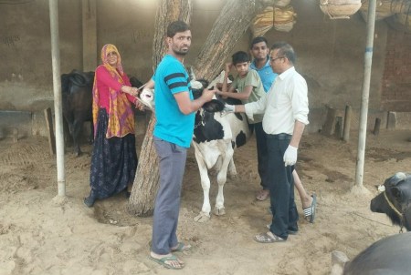 Animal keepers do not tell OTP due to fear of cyber fraud