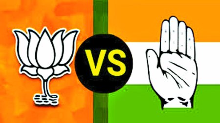 विधानसभा व लोकसभा चुनाव के बाद अब नगरीय निकाय चुनाव की बारी है। पांच माह बाद नगरीय निकाय चुनाव होना है। शहर में कांग्रेस के लिए चुनाव जीतना इस बार आसान नहीं लग रहा है।