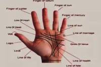 Bhagya Rekha Palmistry