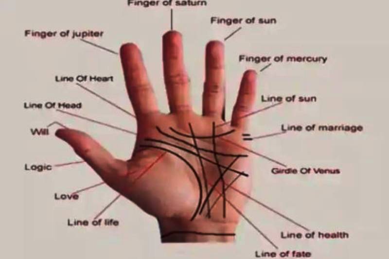 Bhagya Rekha Palmistry