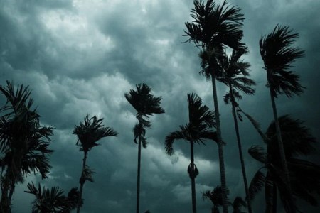 Monsoon 2024