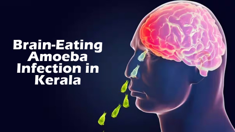 Brain-Eating Amoeba