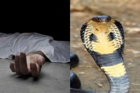 CG Snake Bite , Janjgir champa