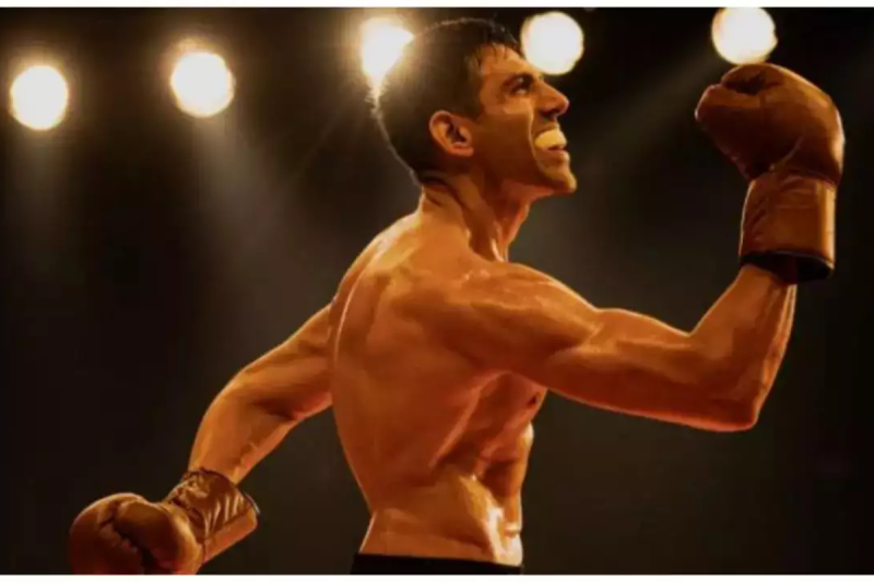 Chandu Champion Box Office Collection Day 6