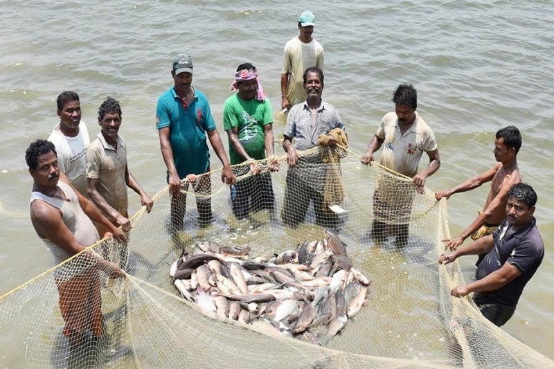 Ban On Fishing In CG