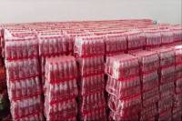 Duplicate Sting Energy