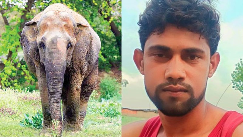 Elephant crushes young man making reel in Bijnor