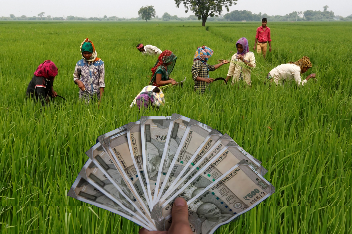 किसानों को बड़ी सौगात: 2 लाख तक का कर्जा माफ, इस राज्य की सरकार ने किया बड़ा ऐलान | Patrika News | हिन्दी न्यूज