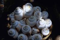 Ghar Me Shankh Ke Upay