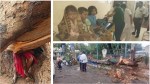 CG pre-monsoon: तबाही लेकर आया प्री-मॉनसून, तेज हवाओं से जगह-जगह गिरे पेड़, दबकर
महिला व बालिका की मौत, एक ही परिवार के 6 बच्चे समेत 8 घायल - image