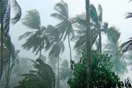 Monsoon 2024