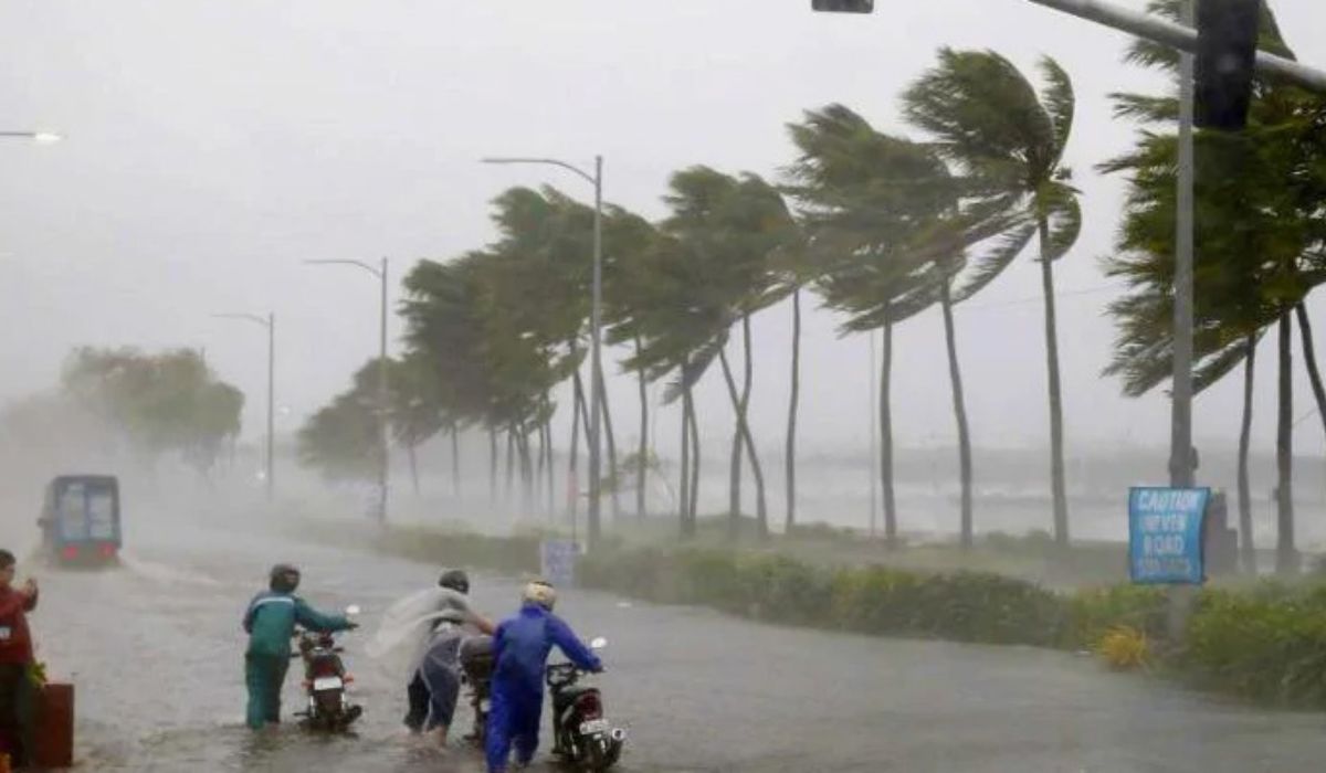 Monsoon 2024