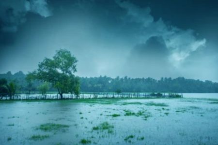 Monsoon update 2024