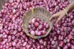 Onion Price Hike: फिर आम जनता को रुला रहा है प्याज, जानिए कीमत - image