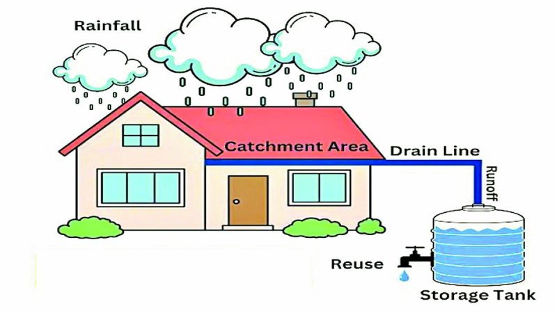 बालोद शहर सहित जिले में भू-जल स्तर हर साल नीचे गिर रहा है। भू जल स्तर बढ़ाने नए मकान निर्माण करने वालों को रेनवाटर हार्वेस्टिंग सिस्टम लगाने के निर्देश दिए हैं, लेकिन मकान मालिक नगर पालिका के आदेशों को दरकिनार कर रहे हैं।