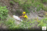 Big Accident: पिथौरागढ़ की पहाड़ी पर सेल्फी ले रही सोनल, 100 मीटर गहरी खाई में
गिरने से मौत - image