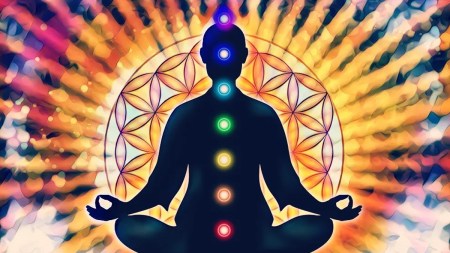 Seven Chakras of life