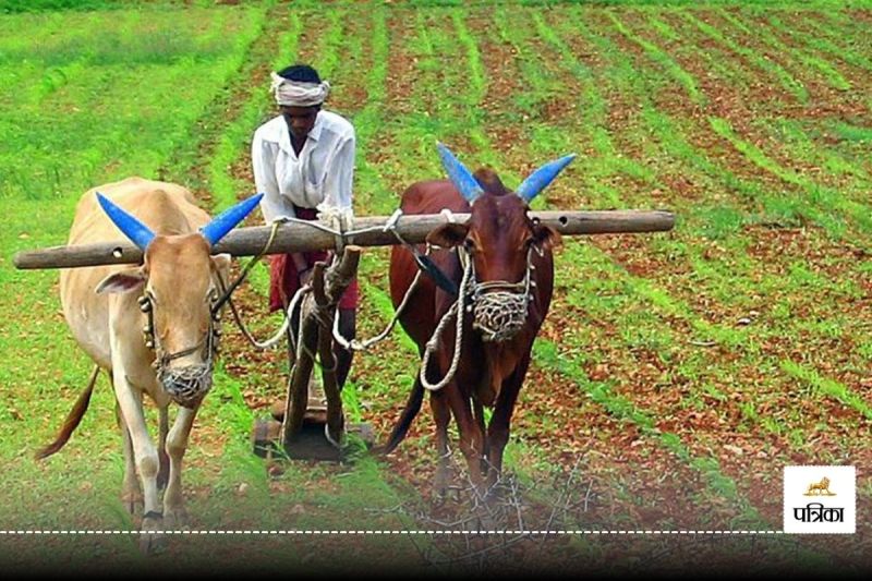 UP Kisan Cards will be made as a Aadhaar registration will start from 1 July