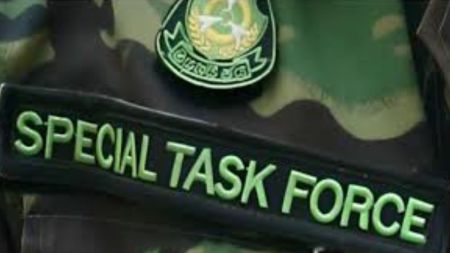 UP STF
