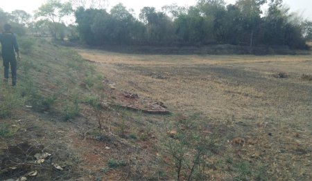 Farming is being done in the nectar ponds built in the area.