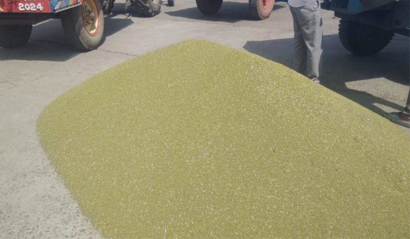 Moong procurement could not start at support price