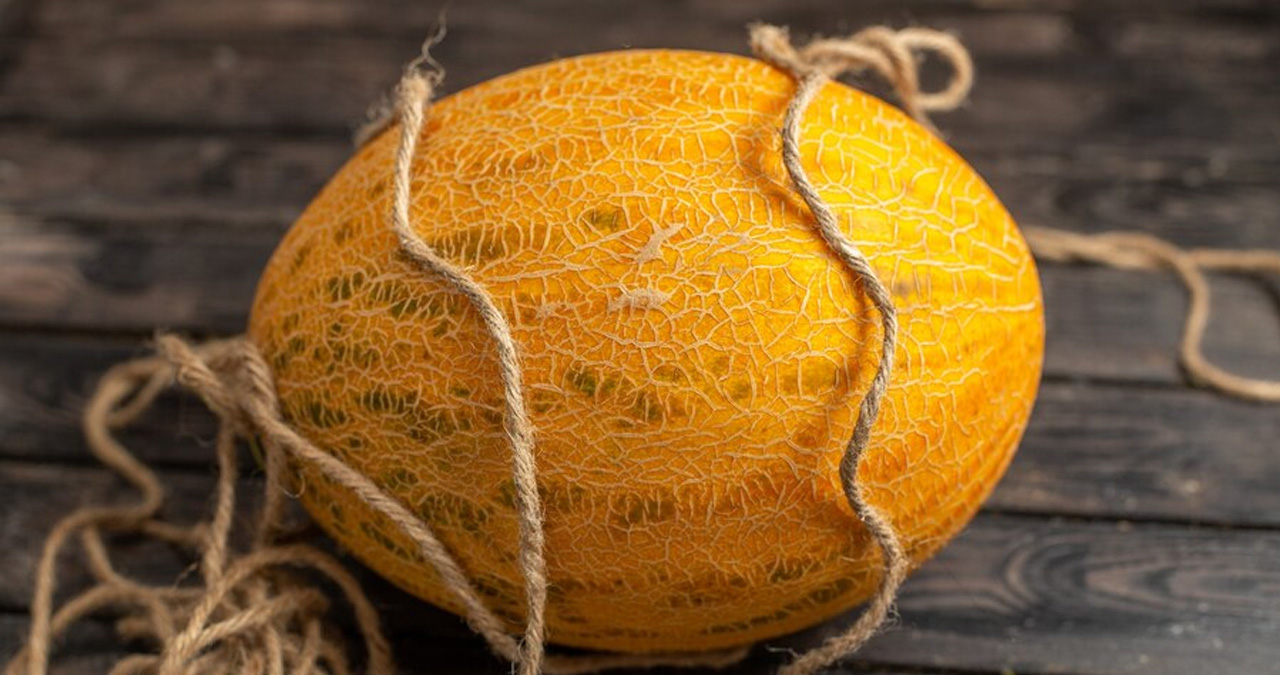 Yubari Melon