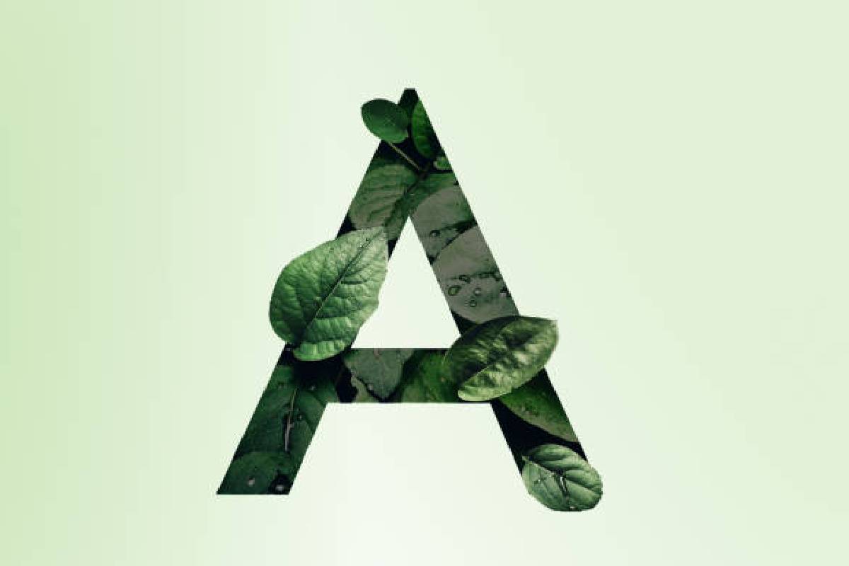 A Name Person Nature