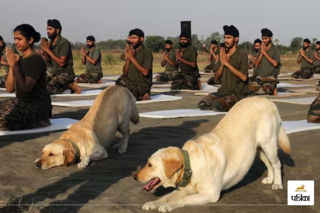 ary dog doing yoga