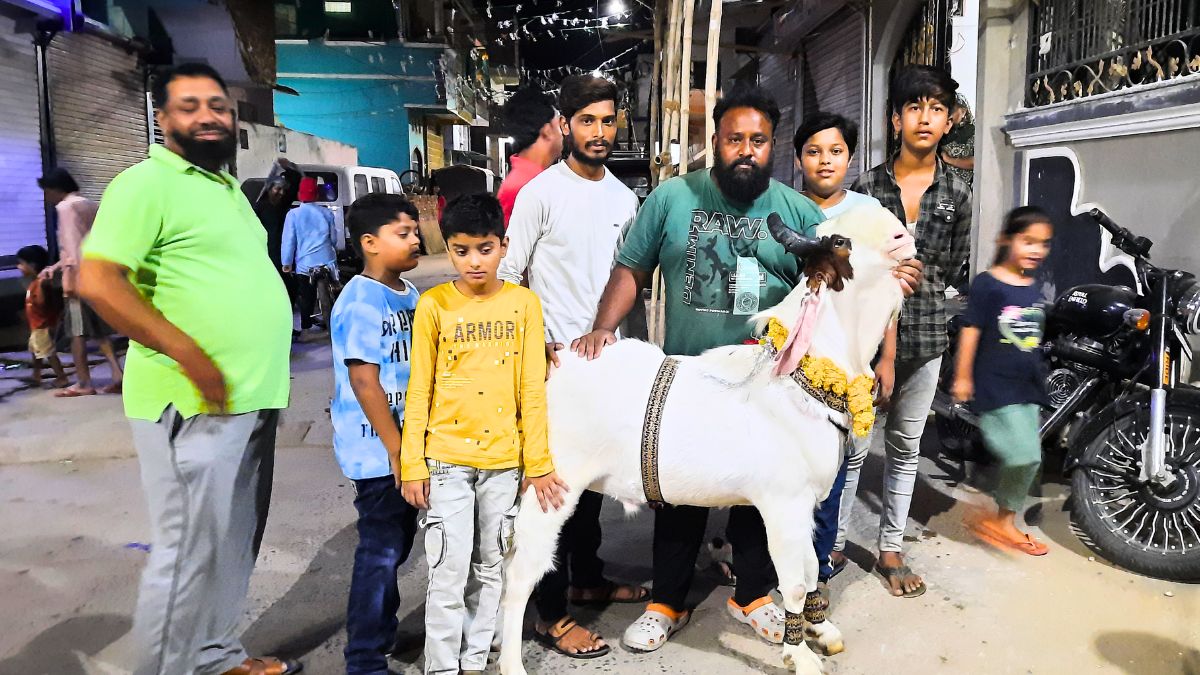 Bakrid 2024 : एमपी का ये बकरा मुंबई में लाखों में बिका, डाइट ऐसी कि हर कोई जानकर
रह जाएगा हैरान