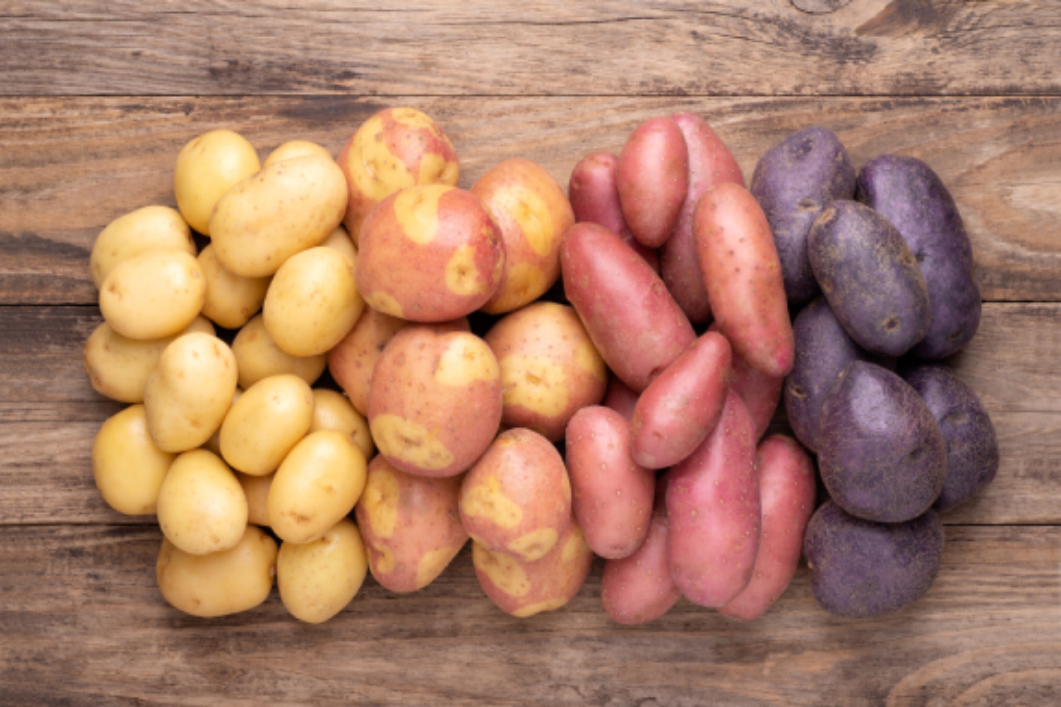 Potato Price in World