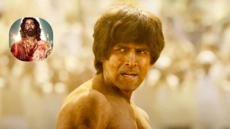 Javed Akhtar Reviews Kartik Aaryan Chandu Champion Who Labelled Animal Movie Dangerous bollywood hindi news