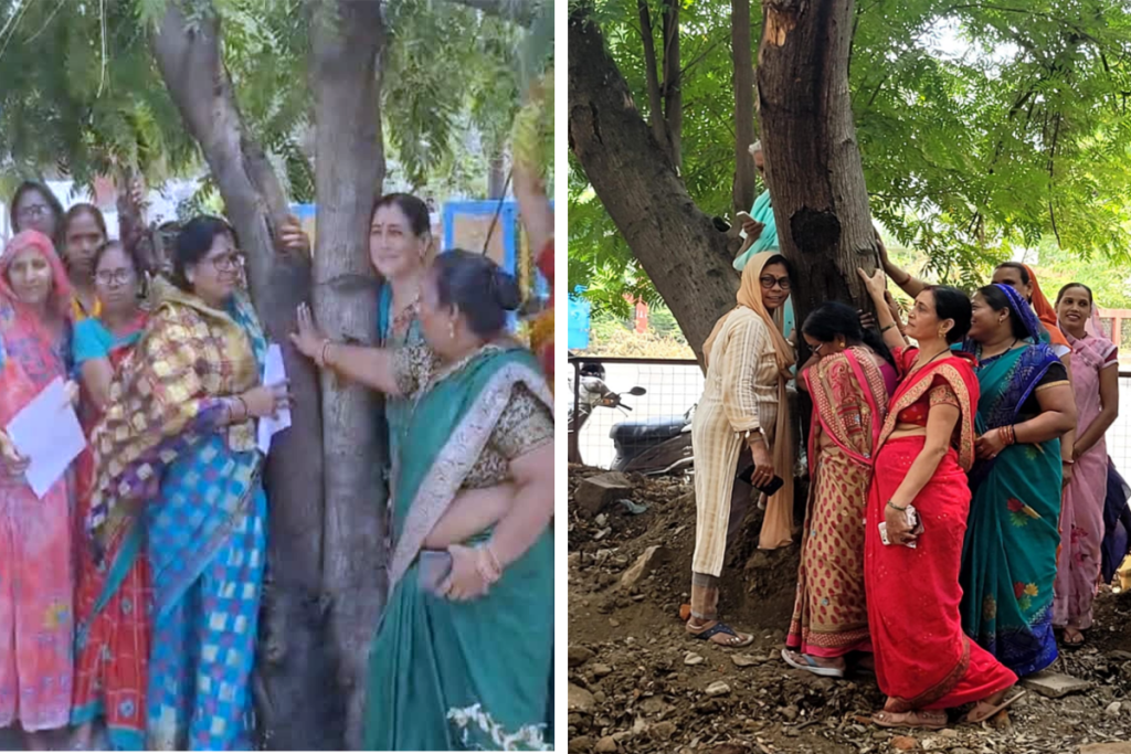 chipko movement