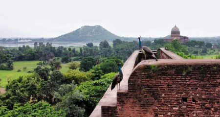 eco tourism