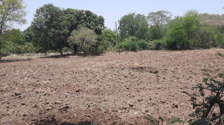 agriculture