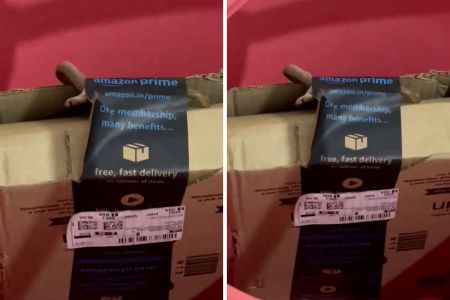 cobra in Amazon package