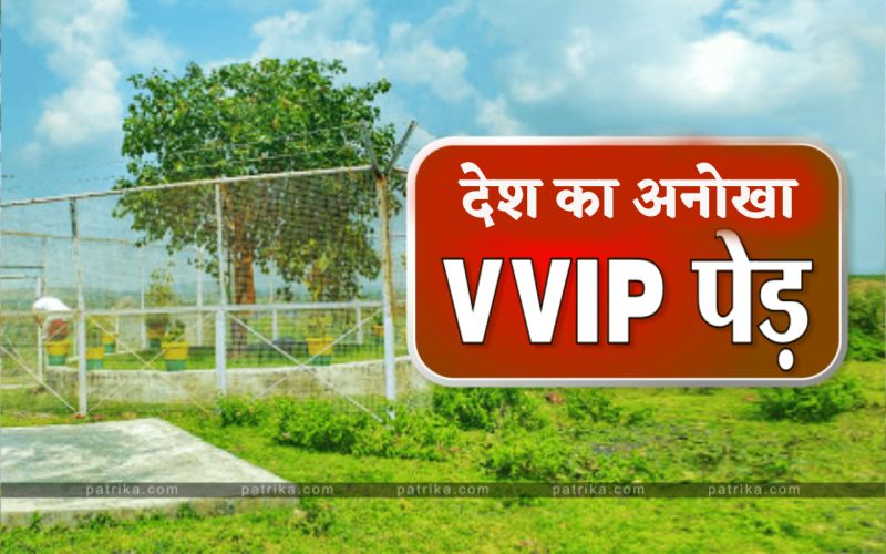 world environment day story