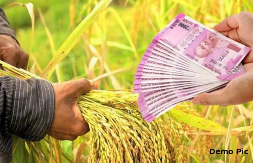 MSP Hike MP Farmer Subsidy Tracking System Subsidy Scheme on Horticultural Crops