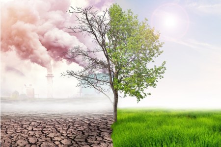 Air pollution is killing 240 people every hour in the world