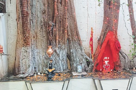 CG News - Shivling